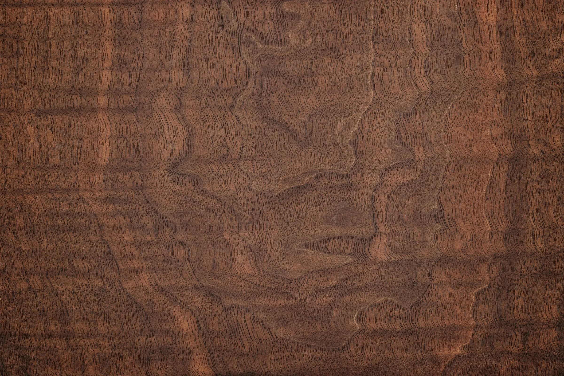 Figured walnut grain, seen flat